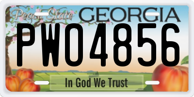 GA license plate PWO4856