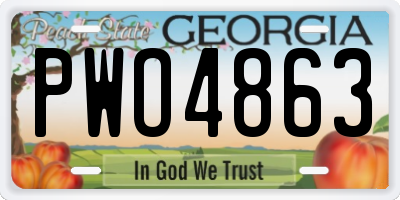 GA license plate PWO4863