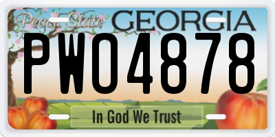 GA license plate PWO4878