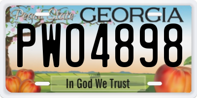 GA license plate PWO4898
