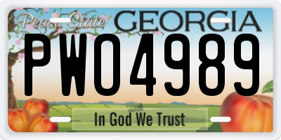 GA license plate PWO4989