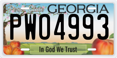 GA license plate PWO4993