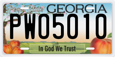 GA license plate PWO5010