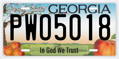 GA license plate PWO5018