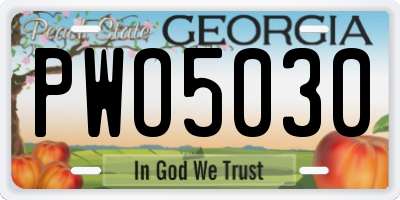 GA license plate PWO5030