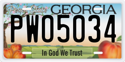 GA license plate PWO5034