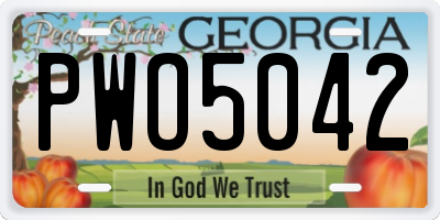 GA license plate PWO5042