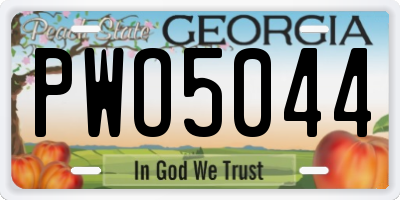 GA license plate PWO5044