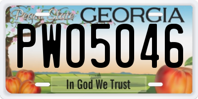 GA license plate PWO5046