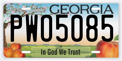 GA license plate PWO5085