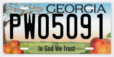 GA license plate PWO5091