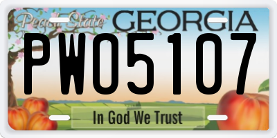 GA license plate PWO5107