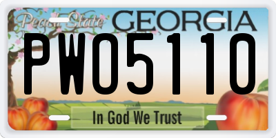 GA license plate PWO5110