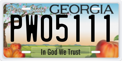 GA license plate PWO5111