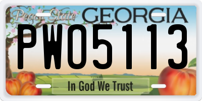 GA license plate PWO5113