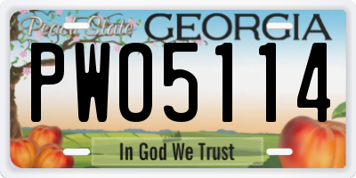 GA license plate PWO5114