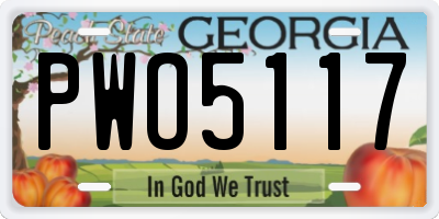 GA license plate PWO5117
