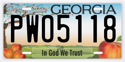 GA license plate PWO5118