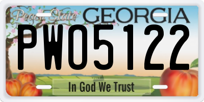 GA license plate PWO5122