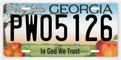 GA license plate PWO5126