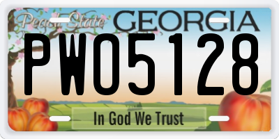 GA license plate PWO5128