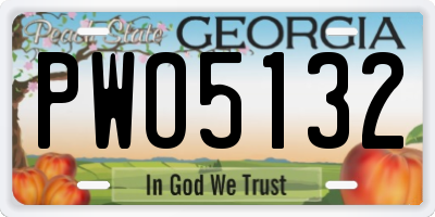 GA license plate PWO5132