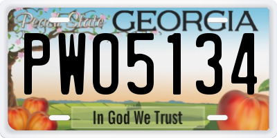 GA license plate PWO5134