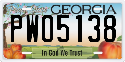 GA license plate PWO5138