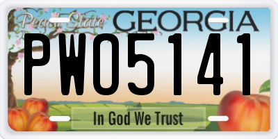 GA license plate PWO5141