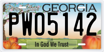GA license plate PWO5142