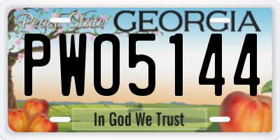 GA license plate PWO5144