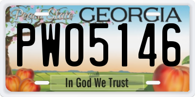 GA license plate PWO5146