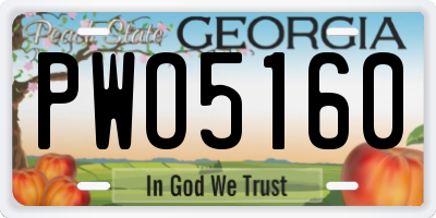 GA license plate PWO5160