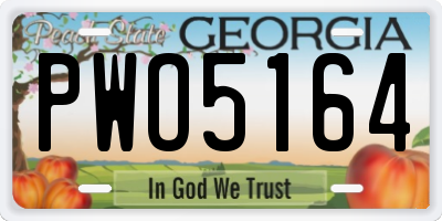 GA license plate PWO5164