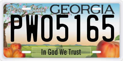 GA license plate PWO5165