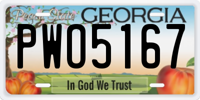 GA license plate PWO5167