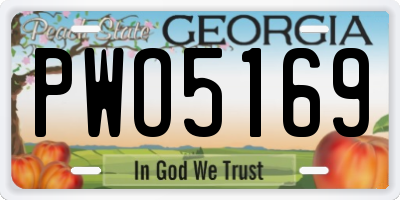 GA license plate PWO5169