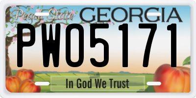 GA license plate PWO5171