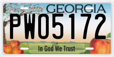 GA license plate PWO5172