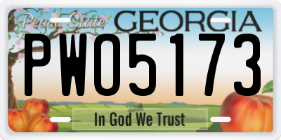 GA license plate PWO5173