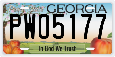 GA license plate PWO5177