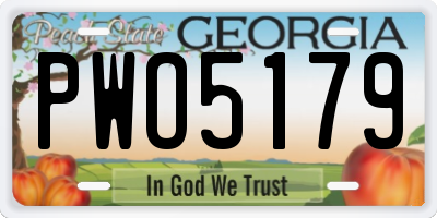 GA license plate PWO5179