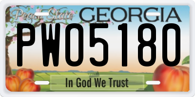 GA license plate PWO5180