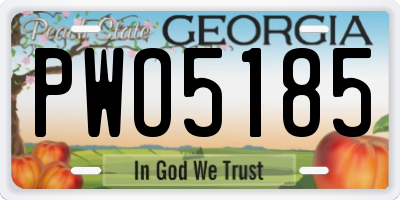 GA license plate PWO5185
