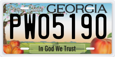 GA license plate PWO5190