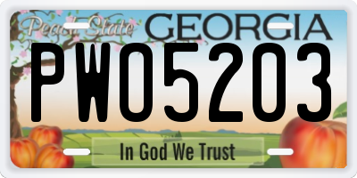 GA license plate PWO5203