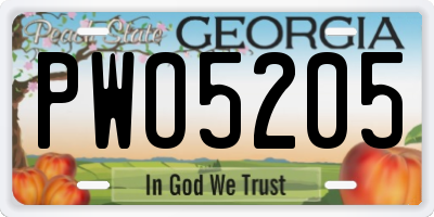 GA license plate PWO5205
