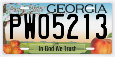 GA license plate PWO5213