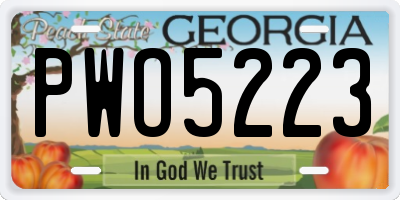 GA license plate PWO5223
