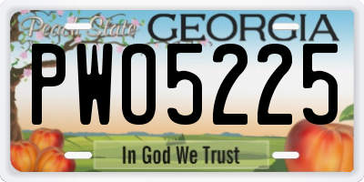 GA license plate PWO5225